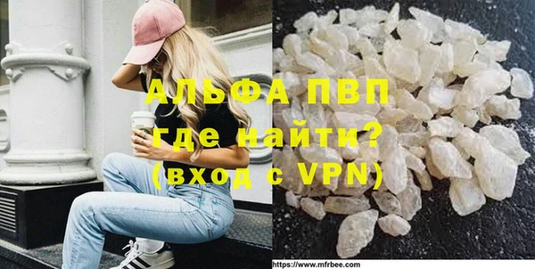 ECSTASY Богородицк