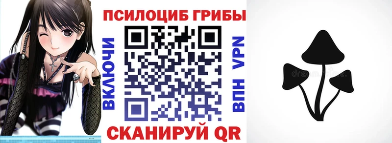 даркнет сайт  Белореченск  МЕГА ССЫЛКА  Галлюциногенные грибы Cubensis 